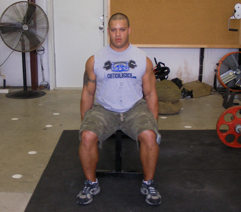 Seated Dumbbell Side Laterals Press video exercise