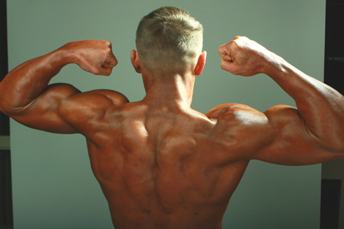 Back Off! A Killer Back Routine to Add Massive Muscle