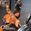 Huge Bench Press Articles Archive