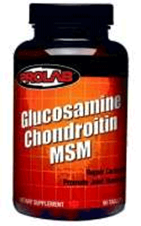 Chondroitin Supplement Review and Guide