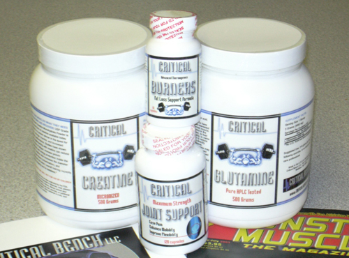 basic muscle building supplements