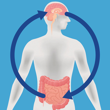 Brain and Gut Connection