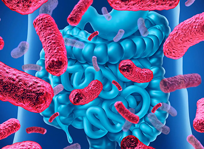 Limited Probiotic Strains