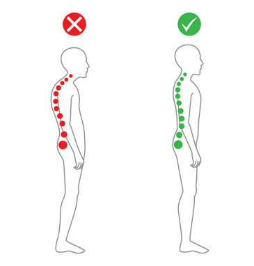 A comparison of spinal posture: on the left, a poor posture with a slouched spine marked in red; on the
            right, a correct posture with a straight, aligned spine marked in green.