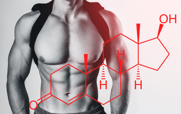 Increase Your Testosterone Bio-Availability–Naturally