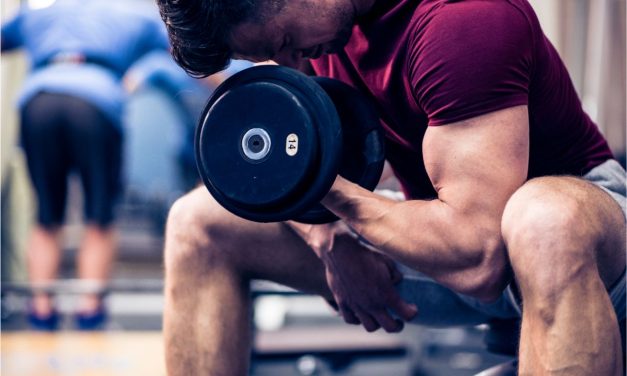 Is Bulking & Cutting A Valid Muscle Building Strategy?