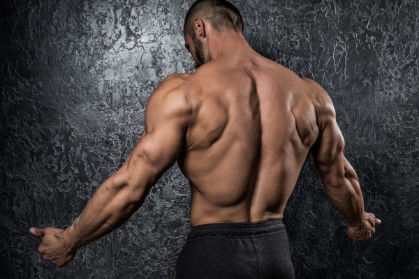 Your Back… Neglect It and DIE