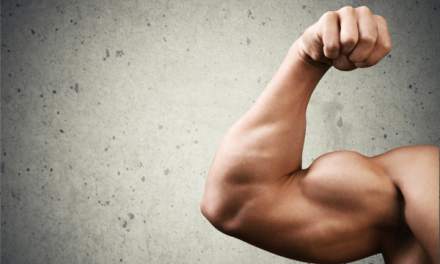 Does More Muscle Equate to More Strength?