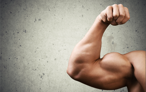 Does More Muscle Equate to More Strength?