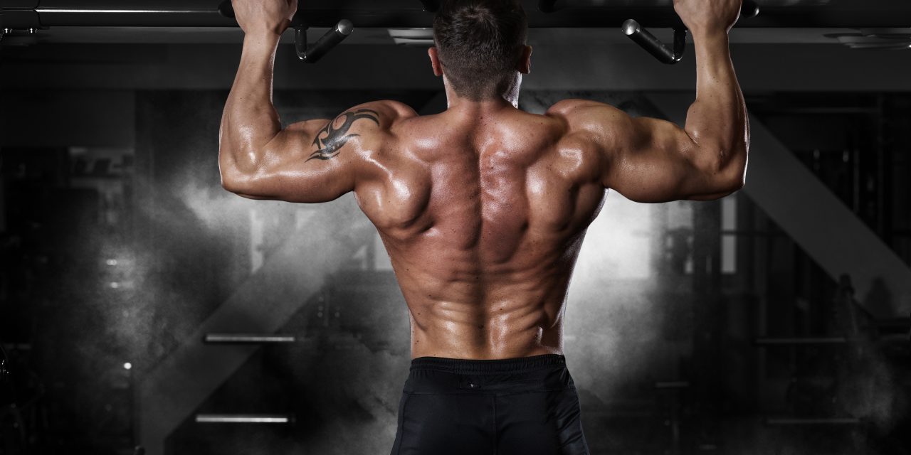 CARVE Out Killer Back Muscles with Body Weight