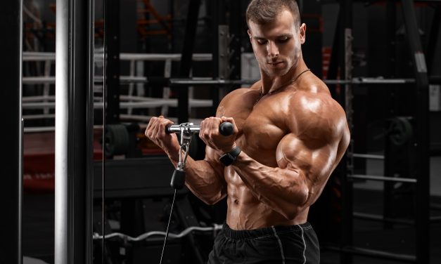 How to Work Out for Each Type of Muscle Fiber