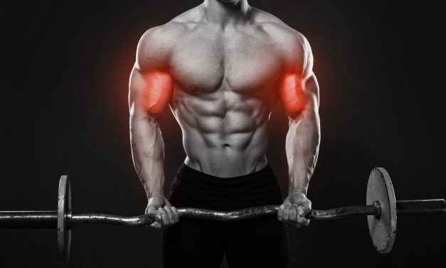 Power of the Mind Muscle Connection